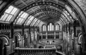 Natural History Museum London